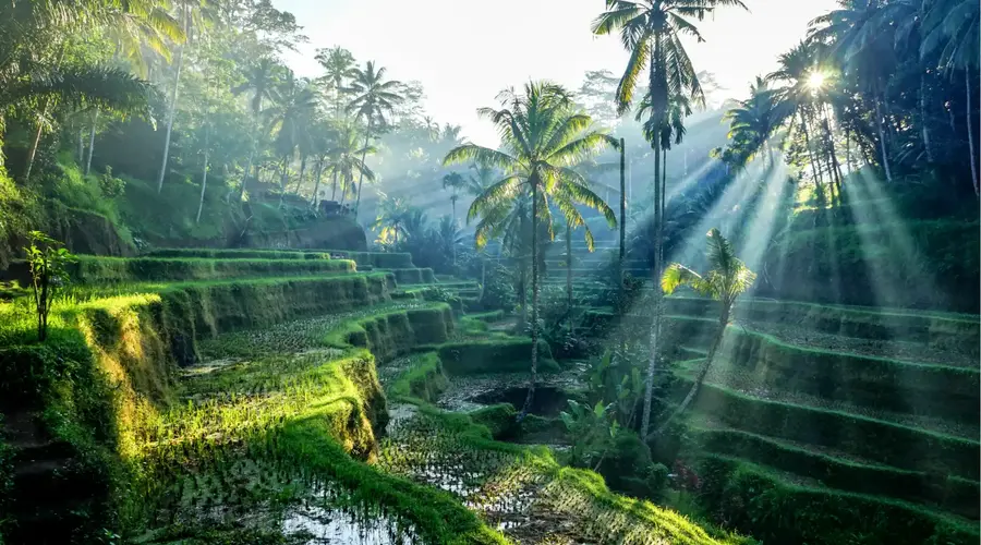 Ubud